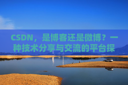 CSDN，是博客还是微博？一种技术分享与交流的平台探讨