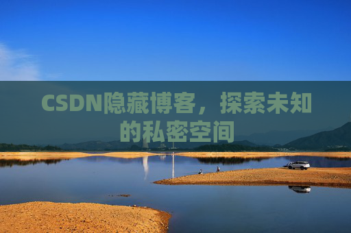CSDN隐藏博客，探索未知的私密空间
